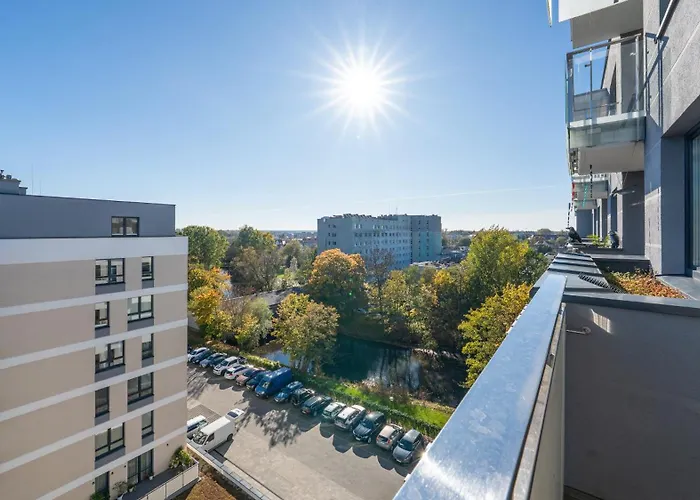 Platany, Sun & Snow *